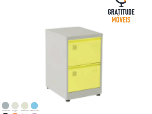 Arquivos de Aço com 2 Gavetas-MV